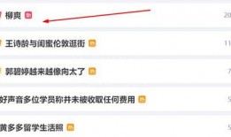 柳爽被女网友爆料视频在线观看,真相与争议全解析