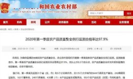 食品新闻爆料投稿入口官网,畅享食品安全资讯新通道”